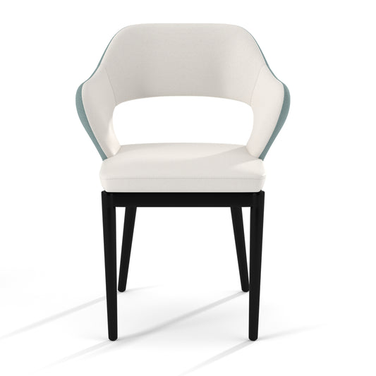 Probus, Upholstered, Open back, Dining Room Armchair, x017, Mint Green